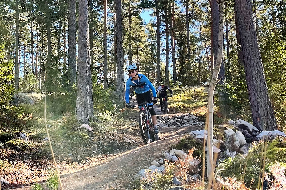 Cyklister som cyklar på led nerför en stig i skogen.