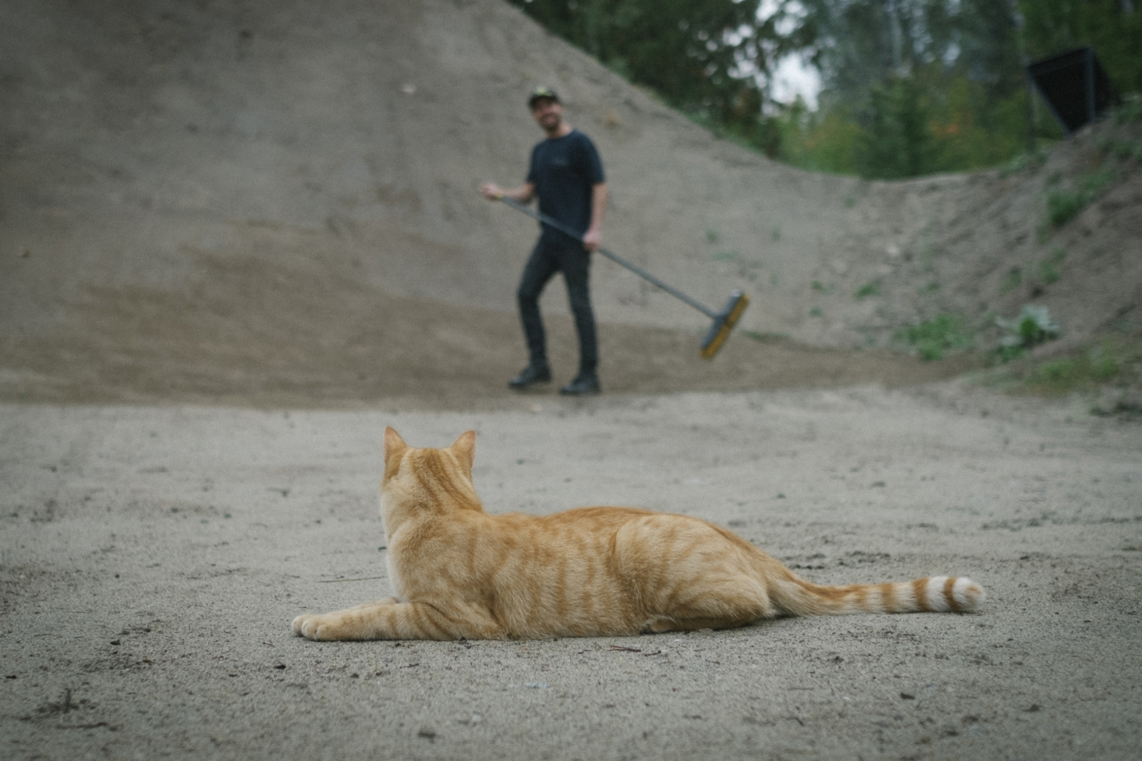 裏庭のジャンプ台の準備をするKurtを眺める彼のネコ