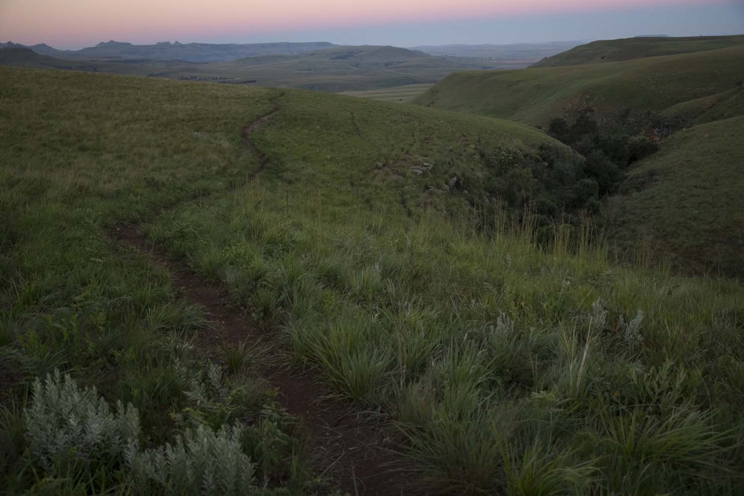 Mensen die werken aan een mountainbiketrail, Shimano Trail Born mountainbike trailpromotie 