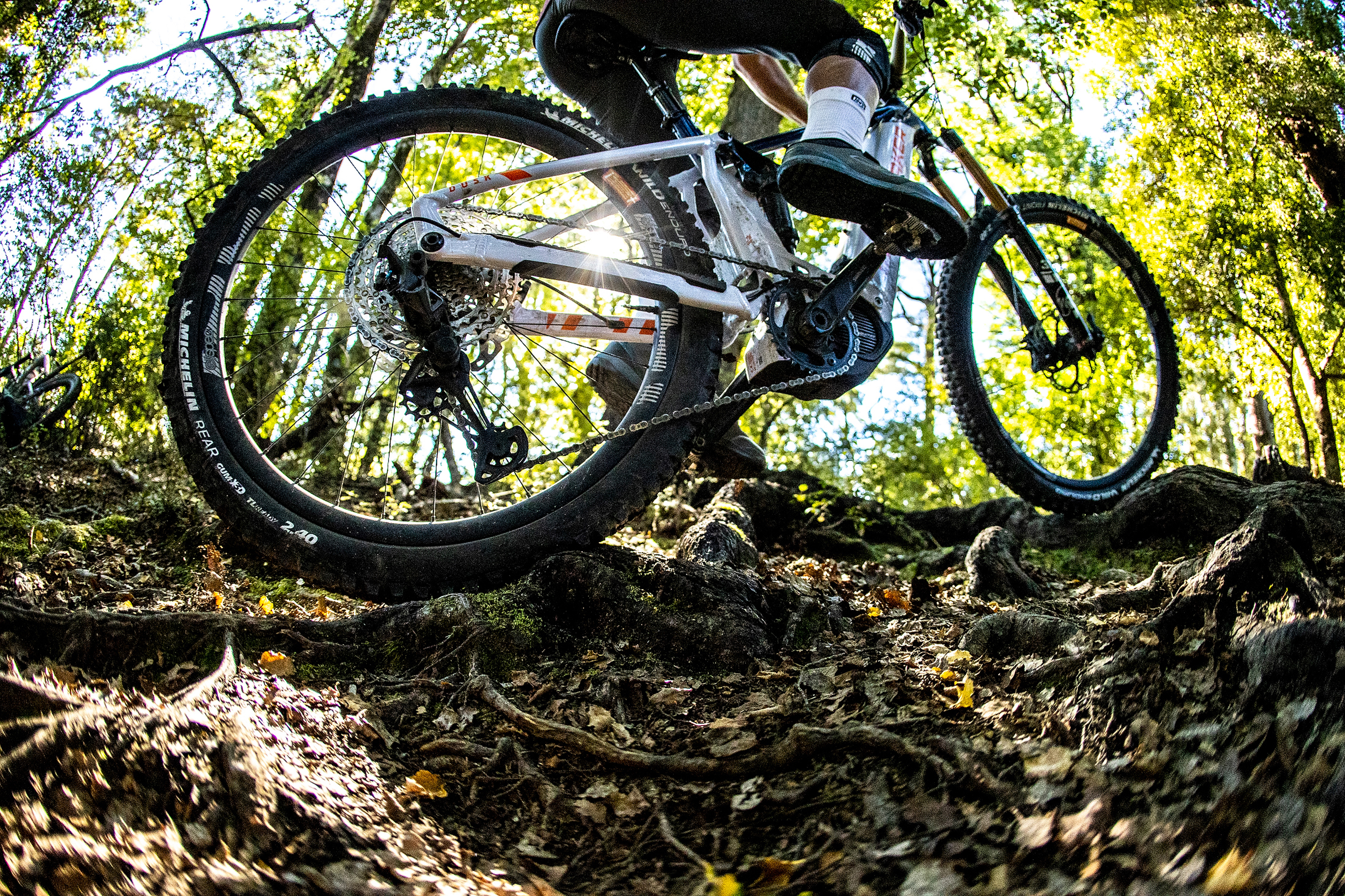 riding e-bikes down a mountain bike trail