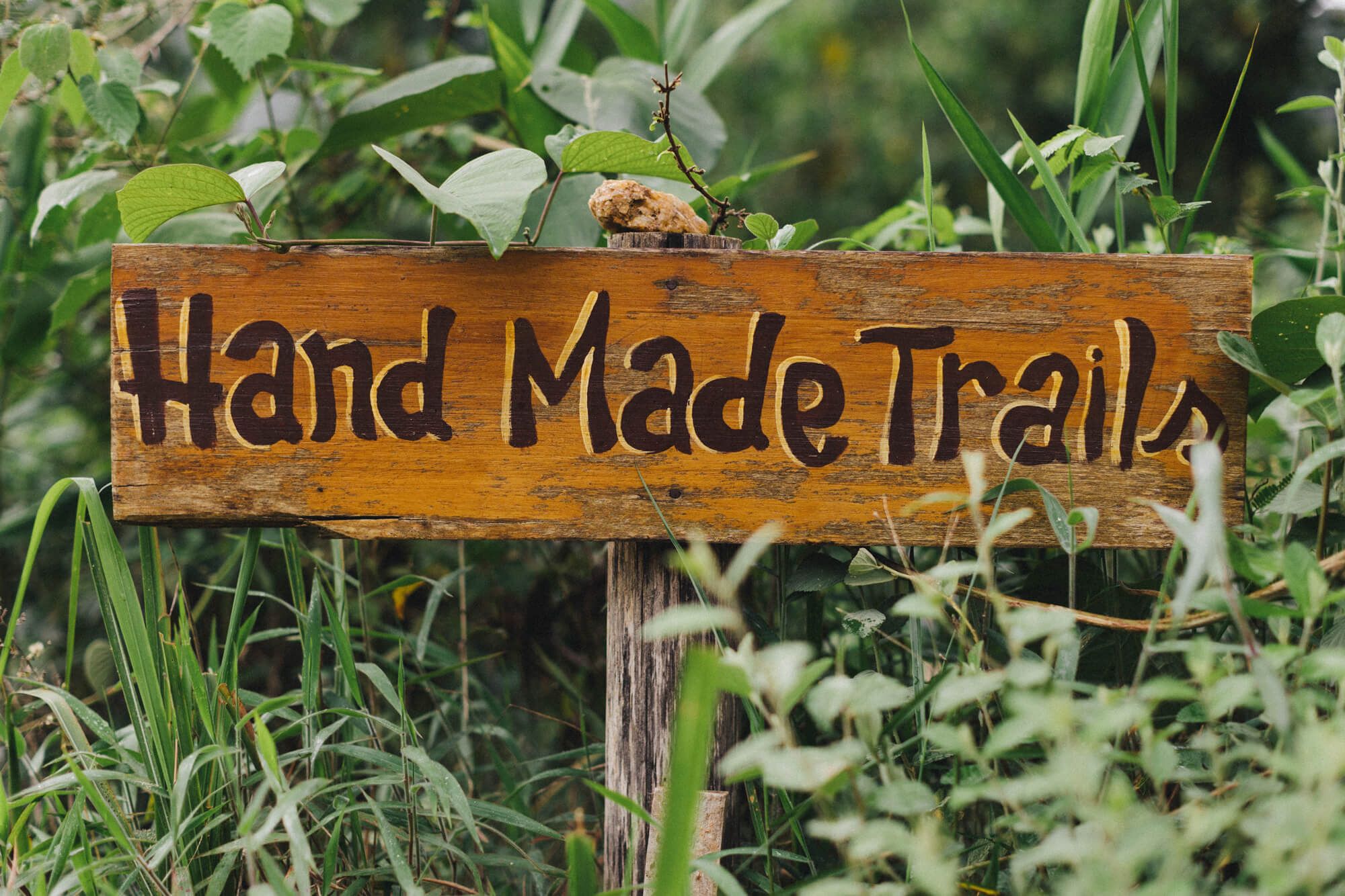 hand made mountain bike trails Brazil 