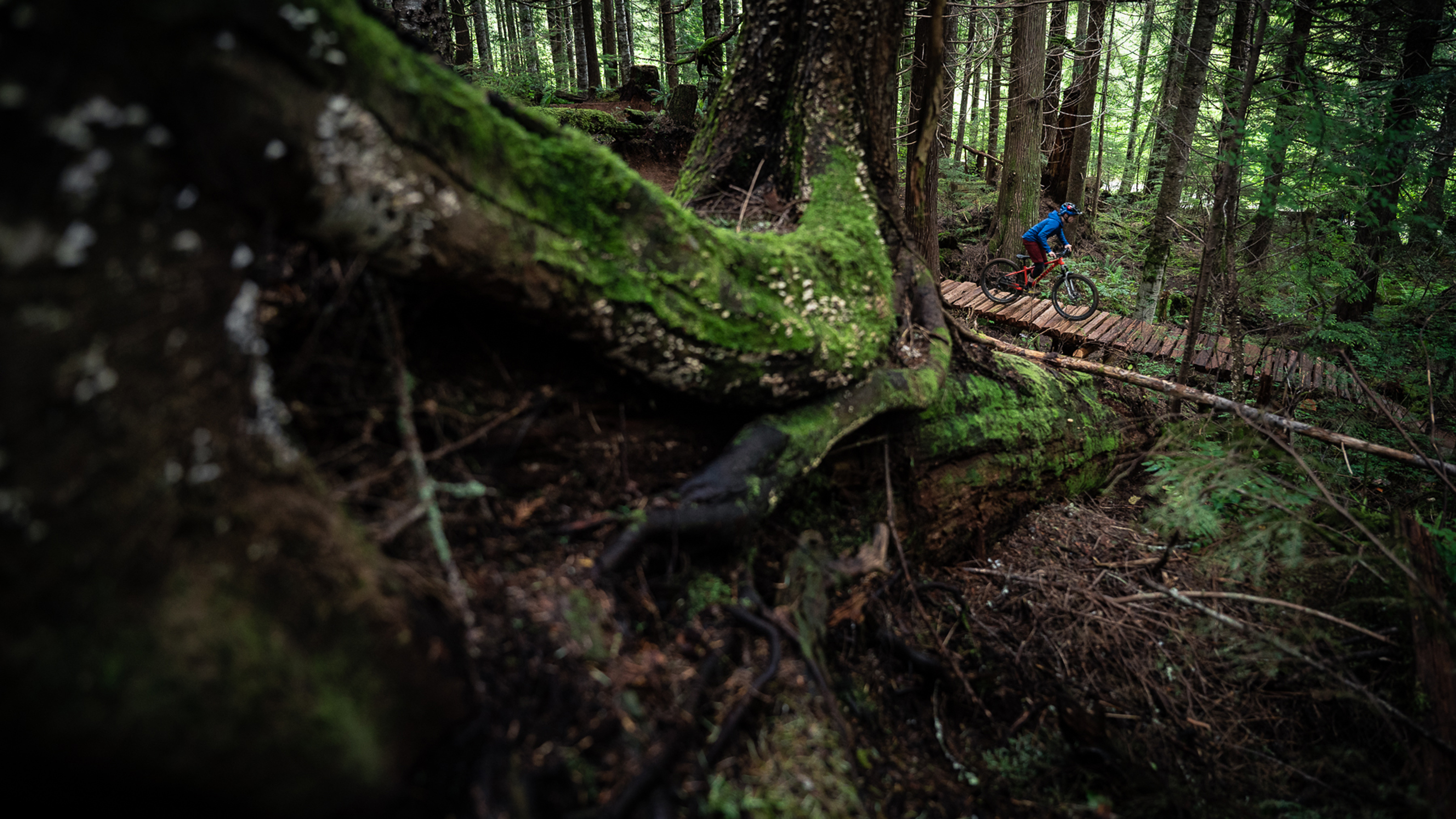 Mark Matthews riding wood bridge on Blueprint flow trail 